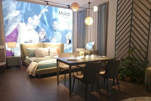 愛依瑞斯莫拉 詮釋藝術之魅，引領軟體家具新風尚